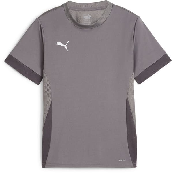 Puma teamGOAL Matchday Voetbalshirt Kids in Grijs Wit