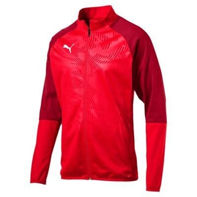 Puma Trainingsshirt Cup Kwartrits Core