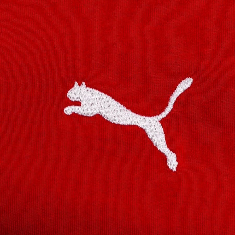 Puma T-shirt Teamgoal 23 Casuals Kids, foto 5