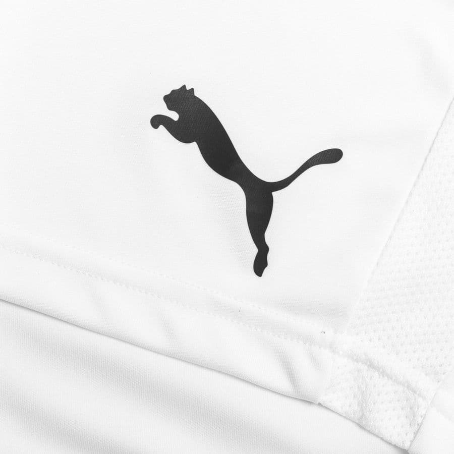 Puma Voetbalshorts Teamgoal 23 Kids, foto 3