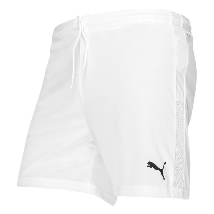 Puma Shorts Teamgoal 23 Knit Dames