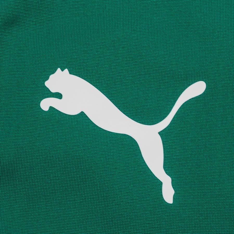Puma Trainingsshirt Teamliga Kwartrits, foto 3