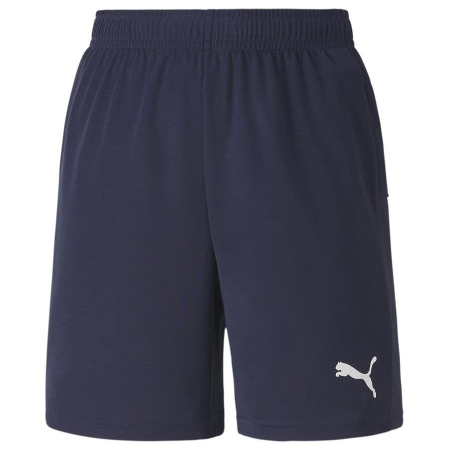 Puma Voetbalshorts Teamgoal 23 Kids