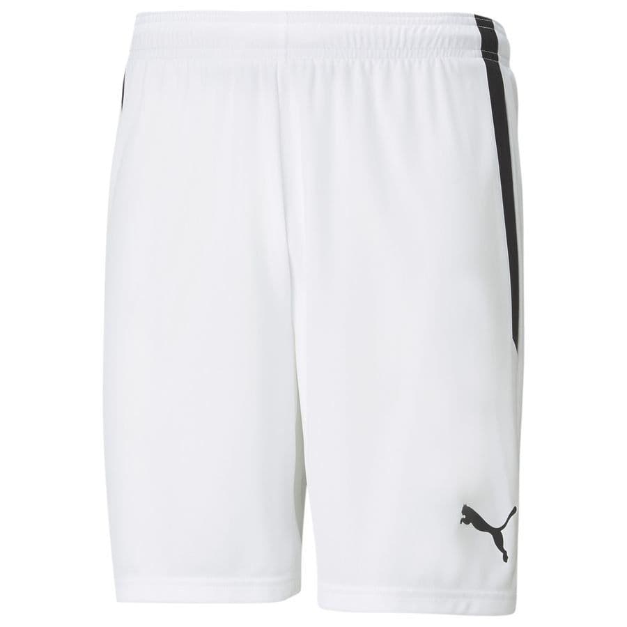 Puma Shorts Teamliga