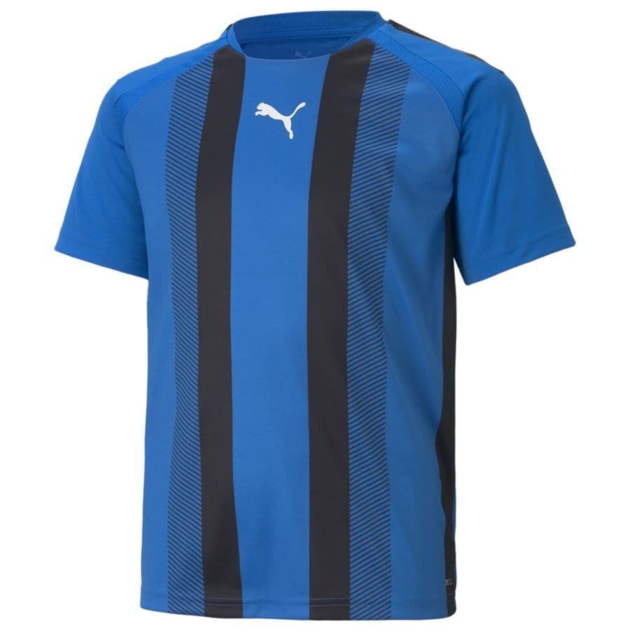Puma Voetbalshirt Teamliga Striped Kids