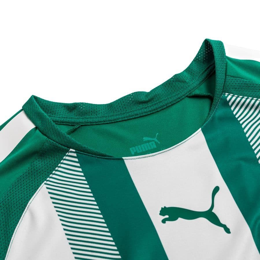 Puma Voetbalshirt Teamliga, foto 2