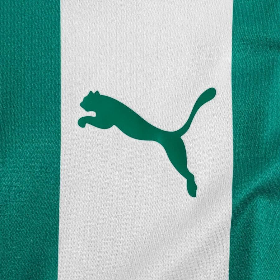 Puma Voetbalshirt Teamliga, foto 3