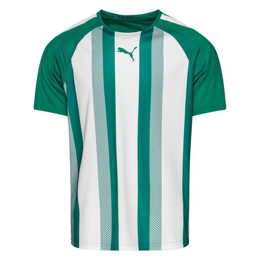 Puma Voetbalshirt Teamliga