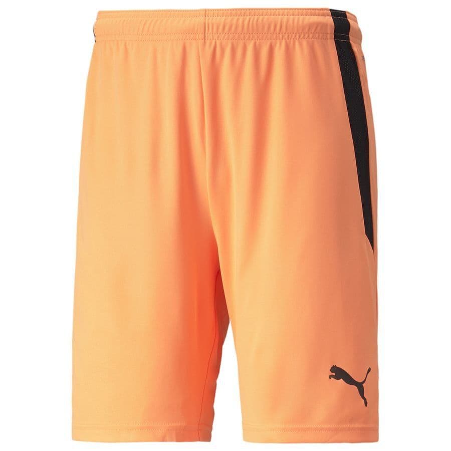 Puma Shorts Teamliga