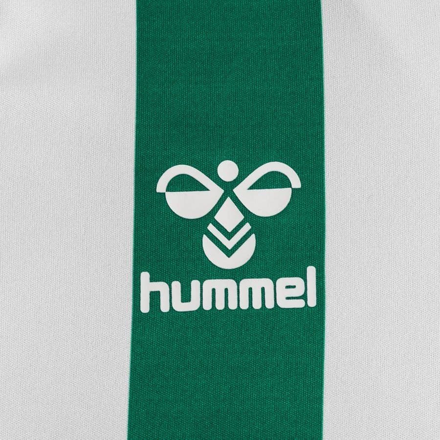 hummel Voetbalshirt Core Striped Kids, foto 4