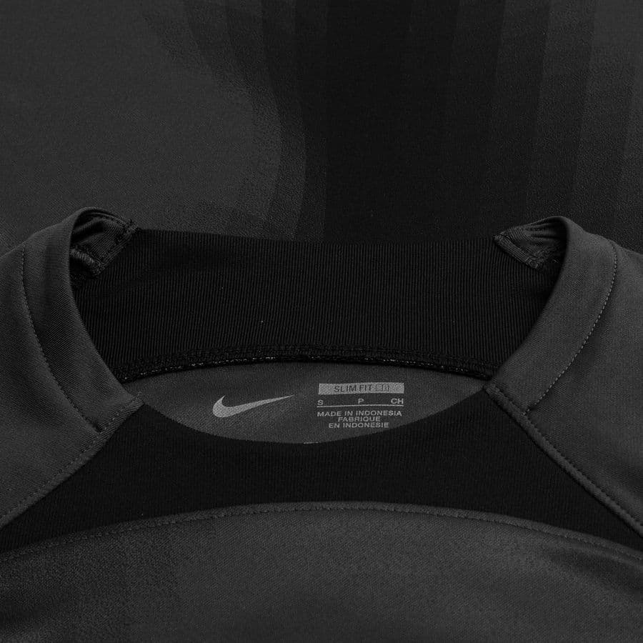 Nike Keepersshirt Dri-fit Adv Gardien Iv L/m, foto 5