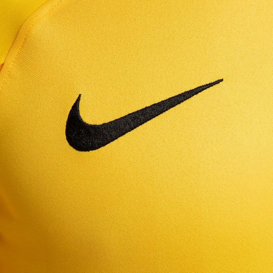 Nike Keepersshirt Dri-fit Adv Gardien Iv L/m, foto 7