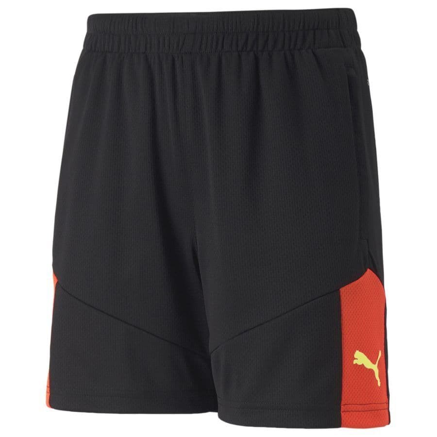 Puma Trainingsshorts Individualfinal Kids