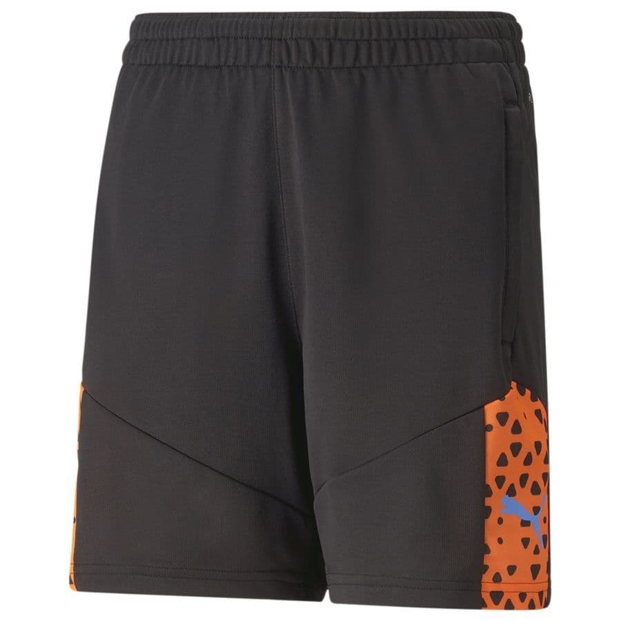 Puma Trainingsshorts Individualcup Kids