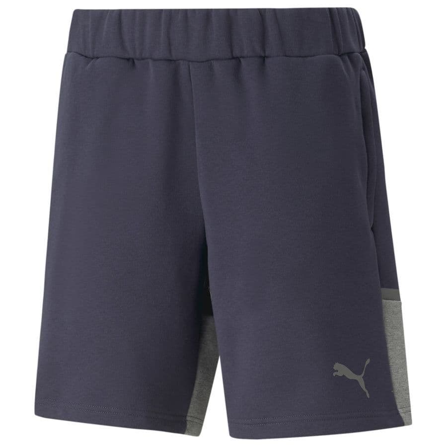 Puma Shorts Teamcup Casuals