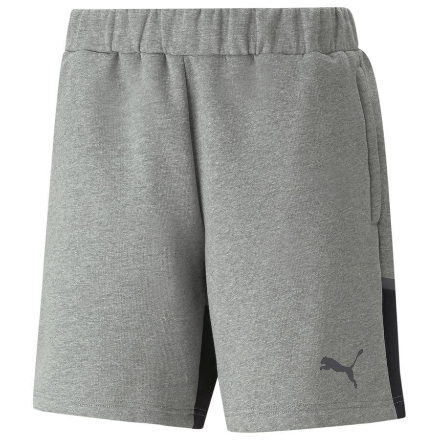Puma Shorts Teamcup Casuals