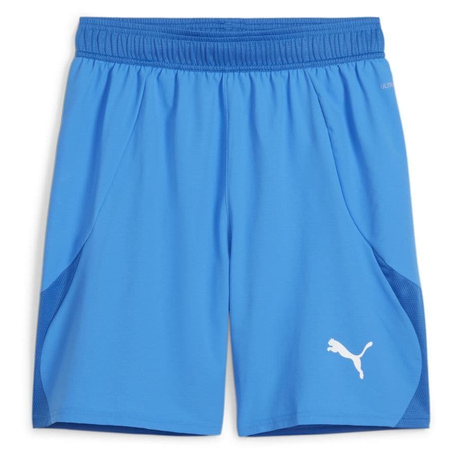 Puma Shorts Teamfinal
