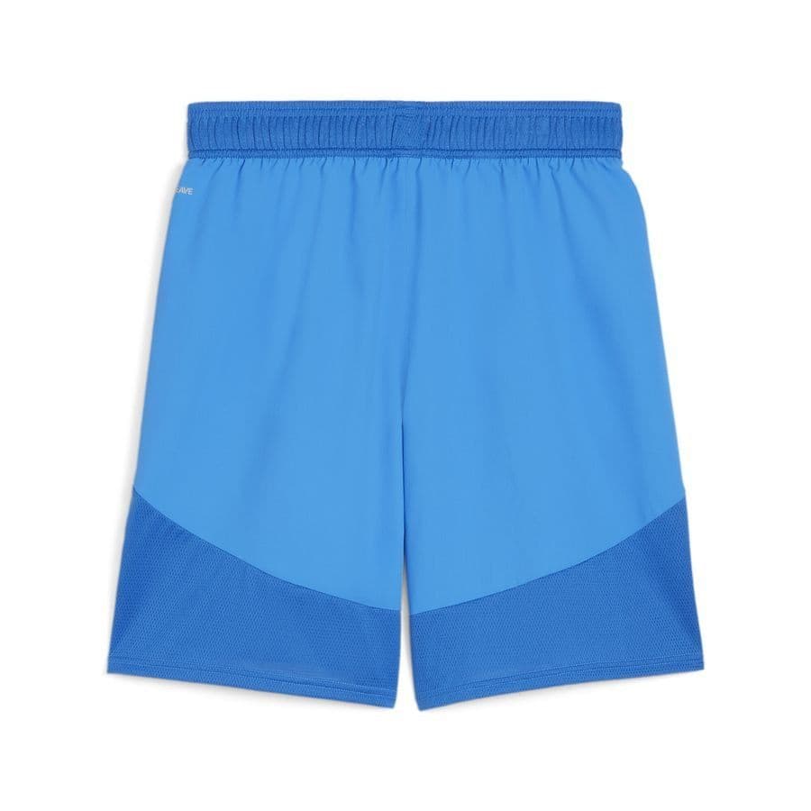 Puma Shorts Teamfinal, foto 2