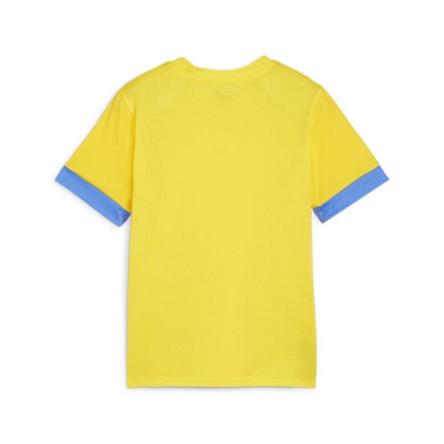 Puma teamGOAL Trainingsshirt Kids, foto 2