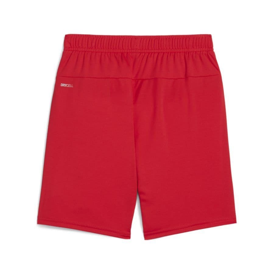 Puma Voetbalshorts Teamgoal Kids, foto 2