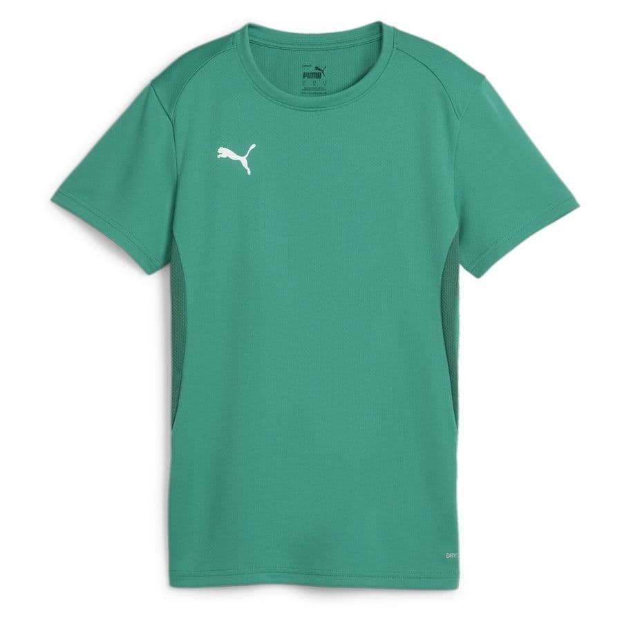Puma Teamgoal Jersey Wmn Sport Green-PUMA White Dames