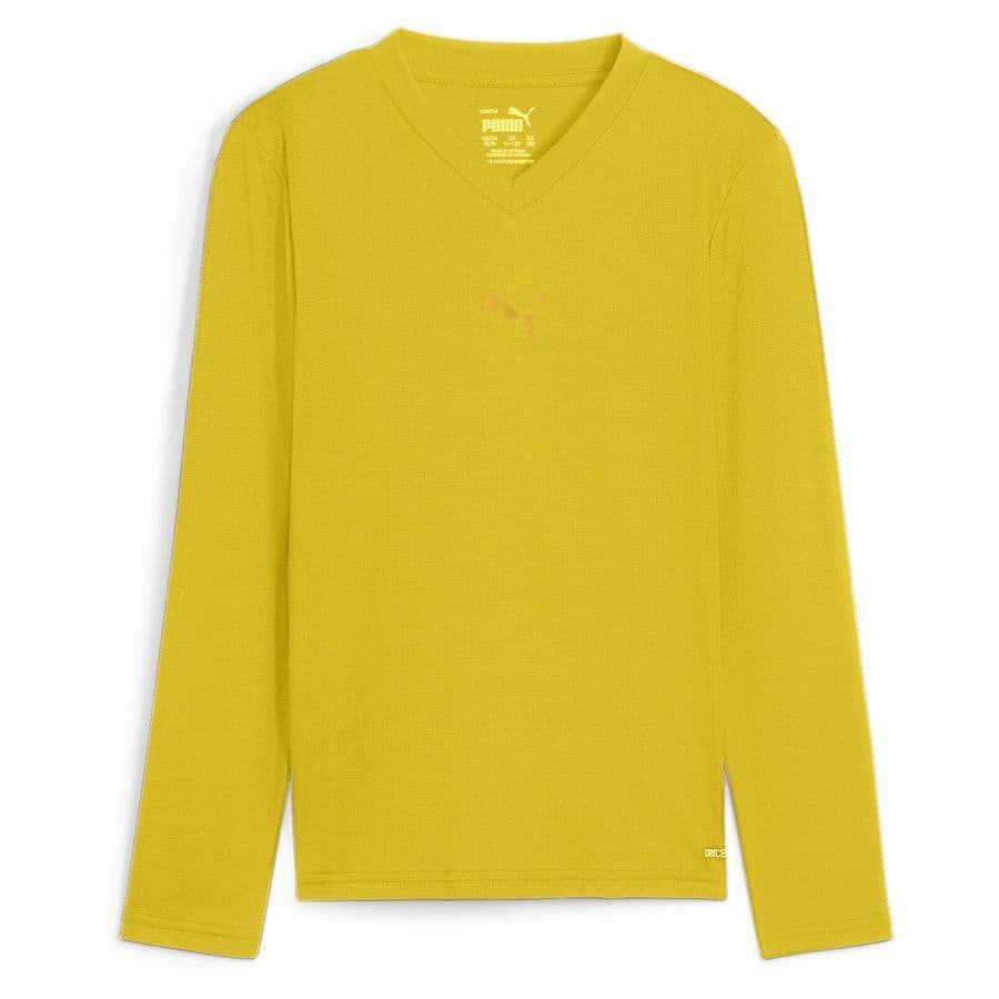 Puma Baselayer Teamgoal Kids