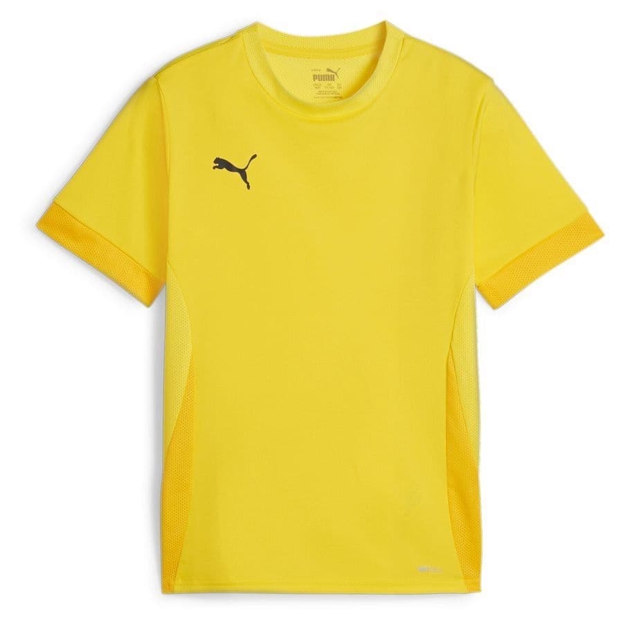 Puma teamGOAL Matchday Voetbalshirt Kids in Geel Zwart
