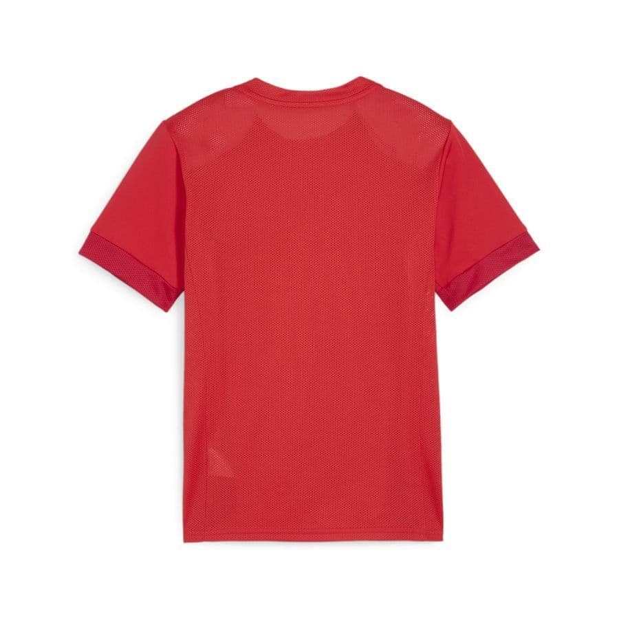 Puma teamGOAL Trainingsshirt Kids, foto 2