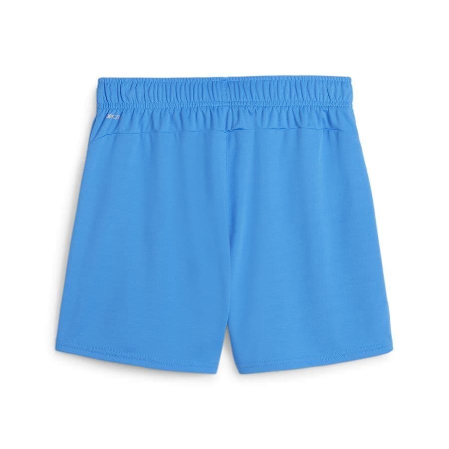 Puma Shorts Handbal Teamgoal Dames, foto 2