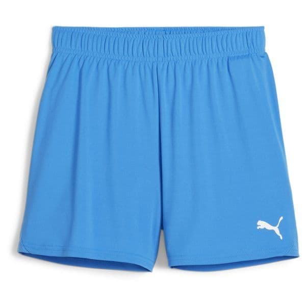 Puma Shorts Handbal Teamgoal Dames, foto 3