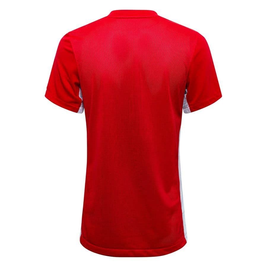 Nike Voetbalshirt Dri-fit Challenge Vi Dames, foto 2