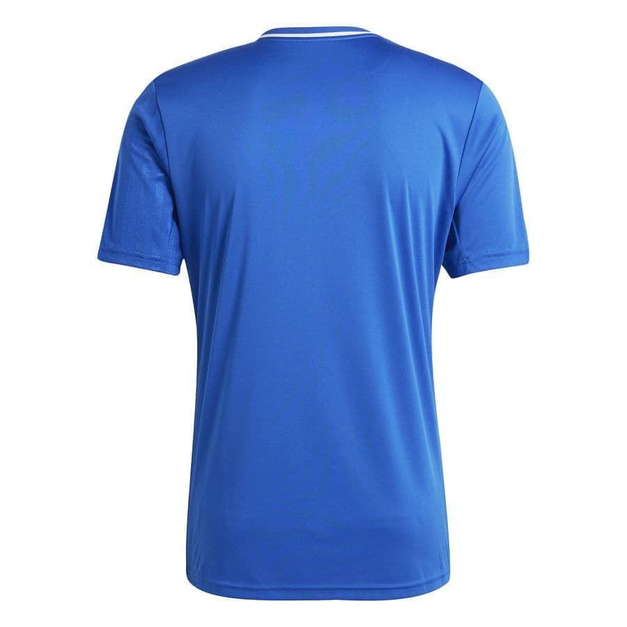 adidas Voetbalshirt Campeon 25, foto 2