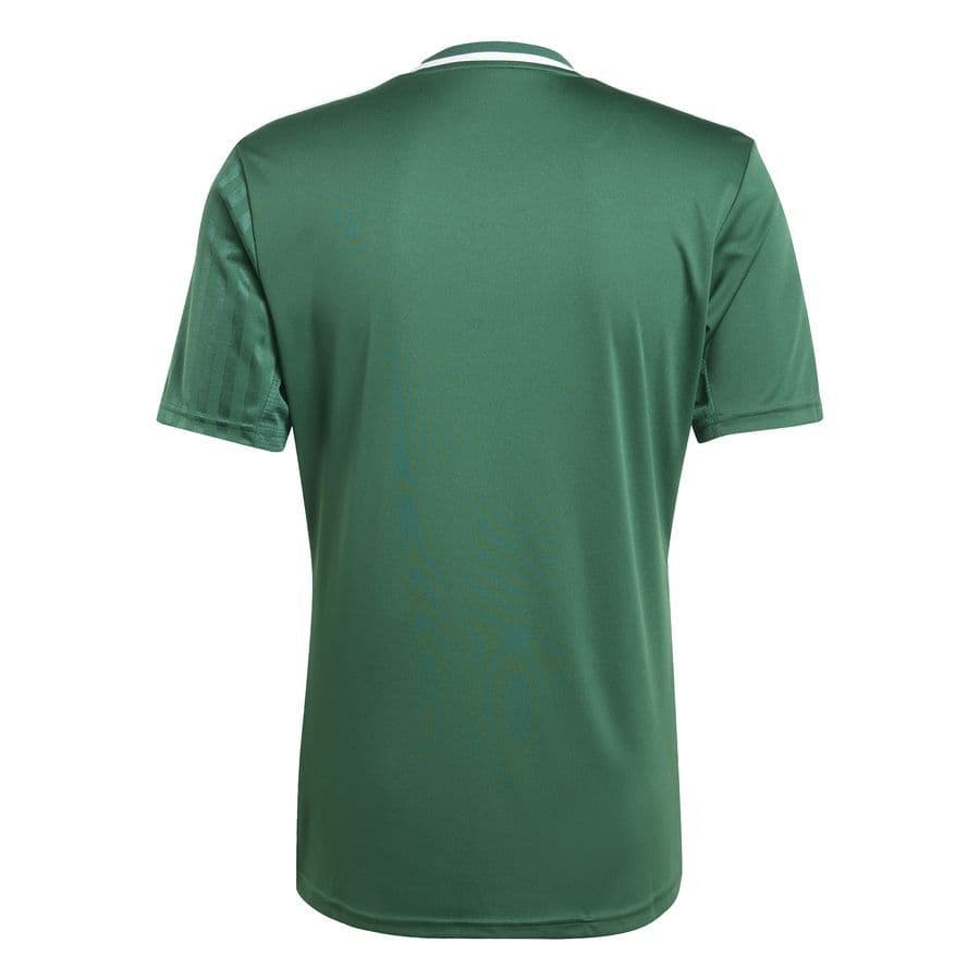 adidas Voetbalshirt Campeon 25, foto 2