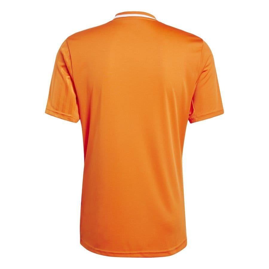 adidas Voetbalshirt Campeon 25, foto 2