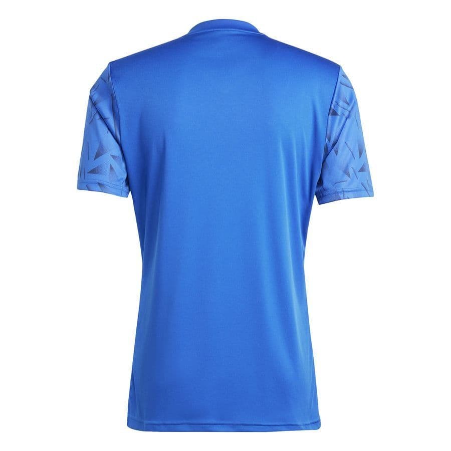 adidas Voetbalshirt Team Icon 25, foto 2