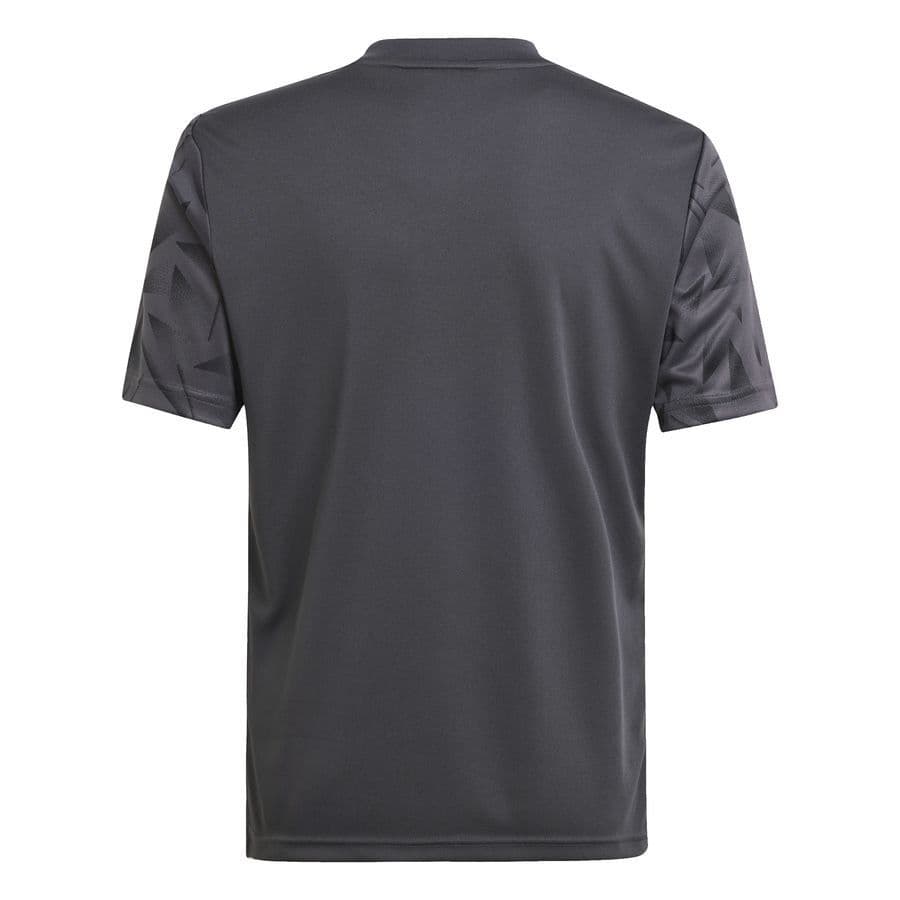 adidas Voetbalshirt Team Icon 25 Kids, foto 2