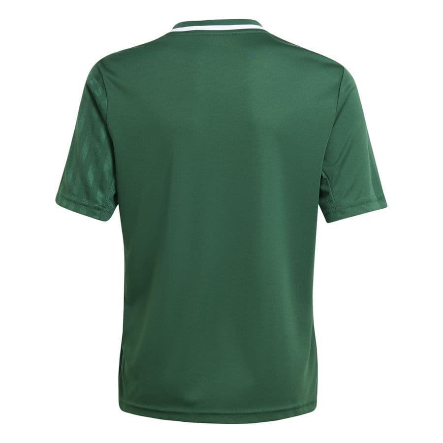 adidas Voetbalshirt Campeon 25 Kids, foto 2