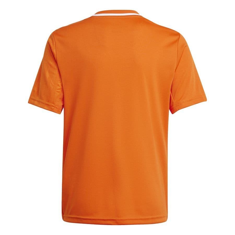 adidas Voetbalshirt Campeon 25 Kids, foto 2