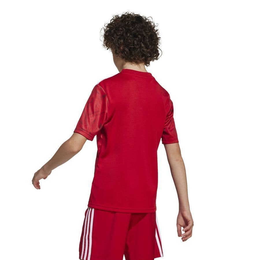 adidas Voetbalshirt Team Icon 25 Kids, foto 2