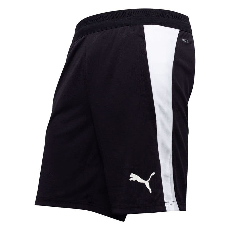 Puma Trainingsshorts Teamfinal 26 Kids