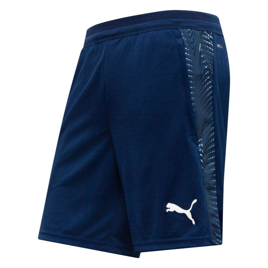 Puma Trainingsshorts Individualfinal