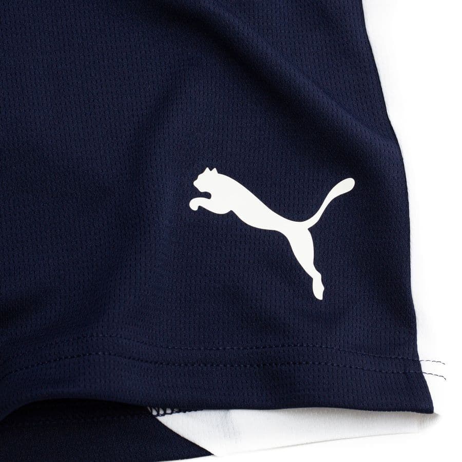 Puma Trainingsshorts Teamfinal 26, foto 3
