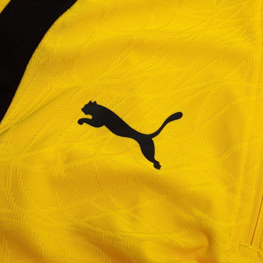 Puma Trainingsshirt Teamliga26 Kwartrits, foto 3