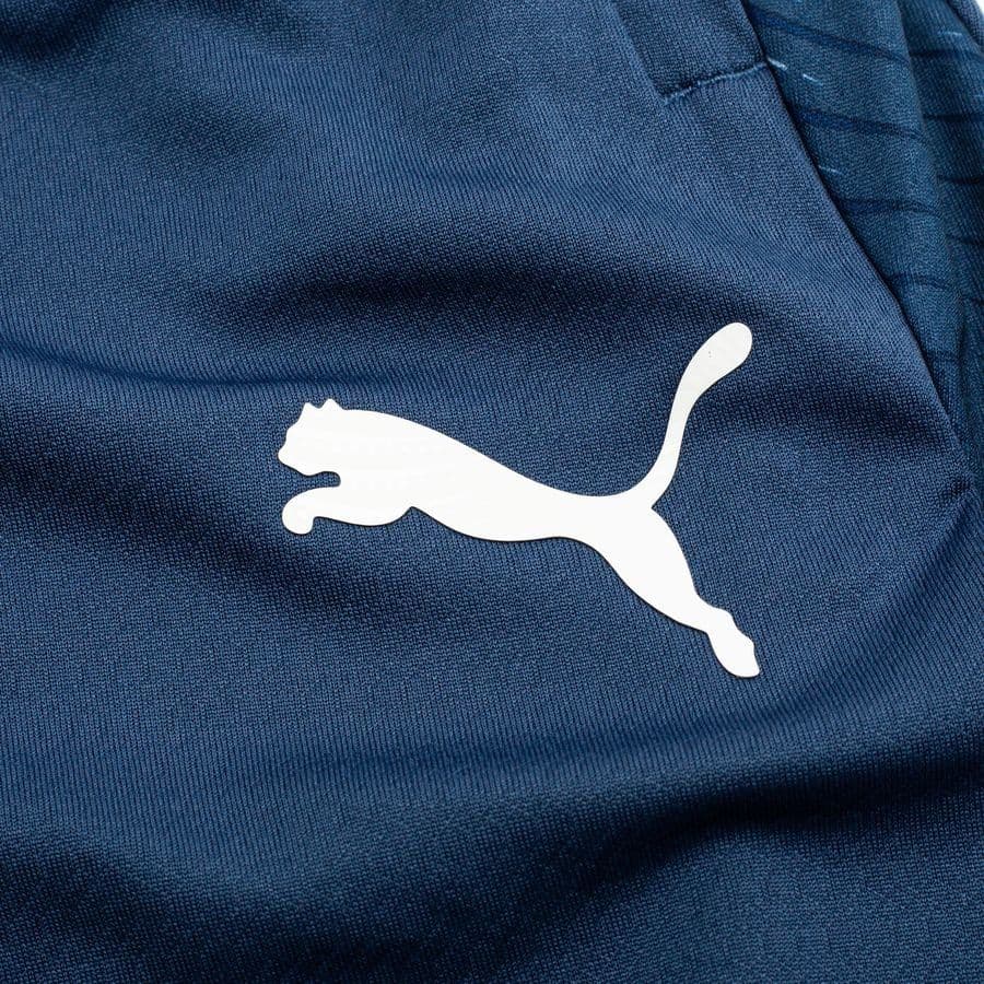 Puma Trainingsbroek Individualfinal, foto 4