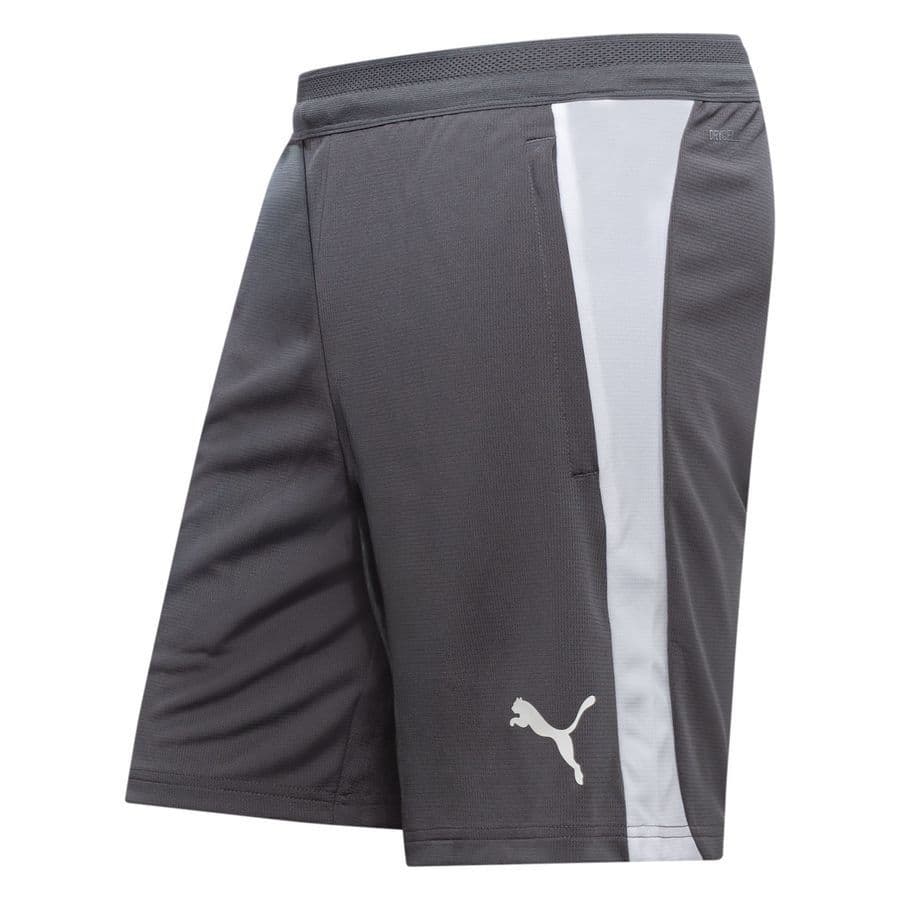 Puma Trainingsshorts Teamfinal 26