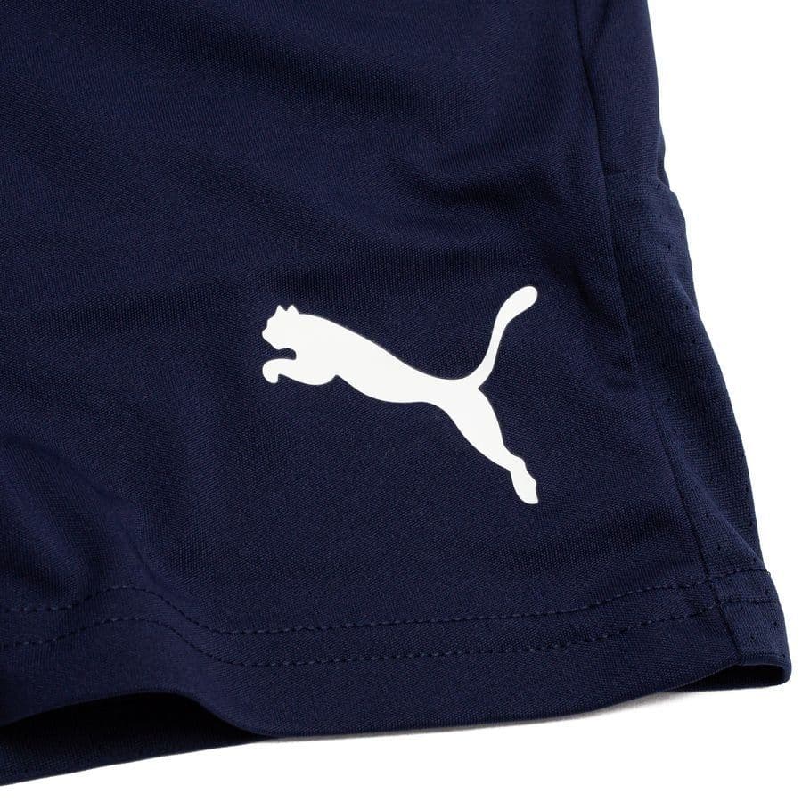 Puma Trainingsshorts Teamliga, foto 3