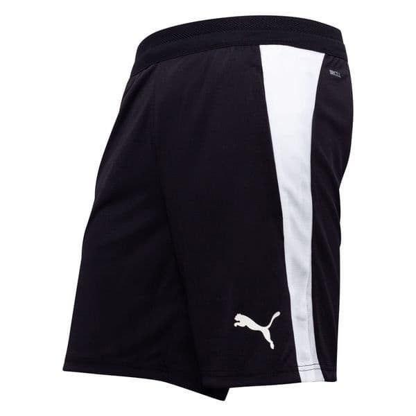Puma Trainingsshorts Teamfinal 26, foto 6