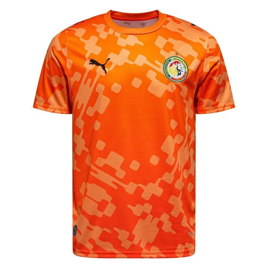 Puma Senegal Keepersshirt 2026/27