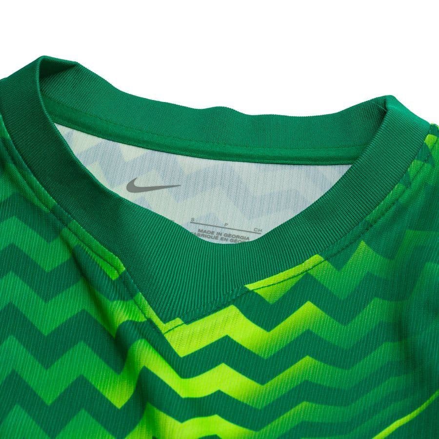 Nike Keepersshirt Dri-fit Gardien Vi Dames, foto 2