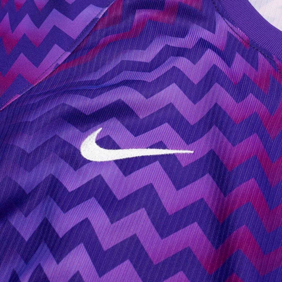 Nike Keepersshirt Dri-fit Gardien Vi Dames, foto 3